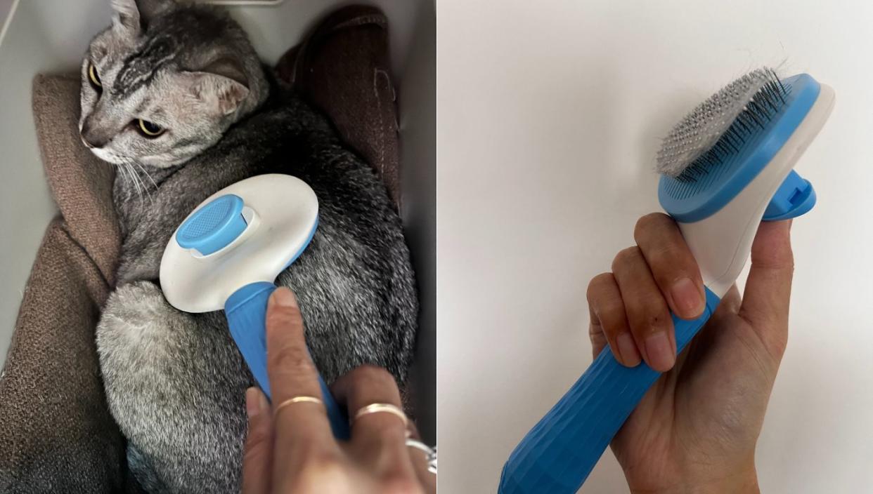 The writer's cat loves the itPlus Cat Grooming Brush. (PHOTO: Reta Lee/Yahoo Life Singapore)