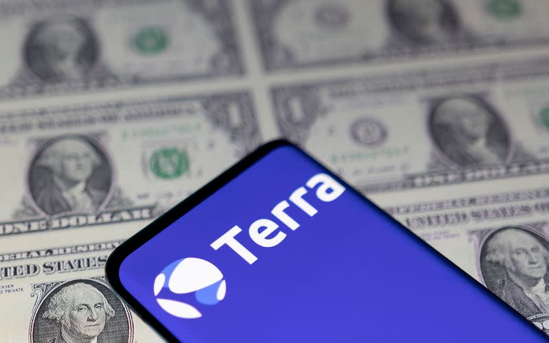 FILE PHOTO: Illustration shows Terra logo and U.S. dollars