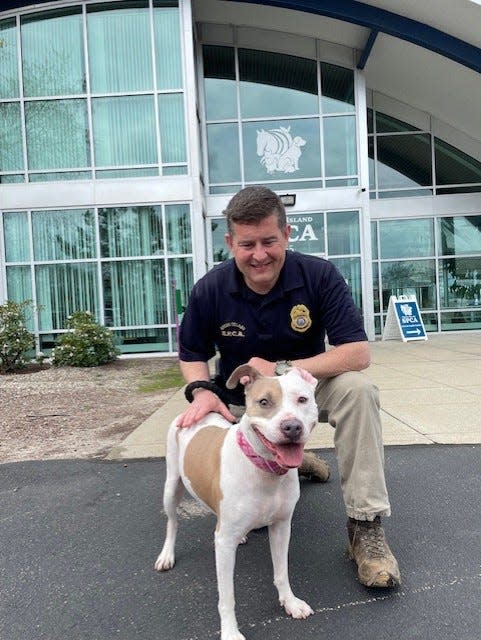 Earl Newman, a humane law enforcement special agent for the Rhode Island Society for the Prevention of Cruelty to Animals, with Lucy, a dog that was surrendered and is up for adoption.