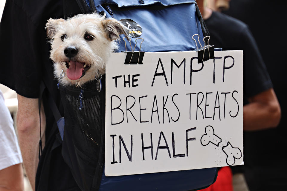 NEW YORK, NEW YORK - AUGUST 09: A dog joins members and supporters of the WGA and SAG-AFTRA on day 100 of the WGA strike outside Netflix and Warner Bros. on August 9, 2023 in New York City. The longest running writers' strike on record lasted 154 days in 1988. (Photo by Cindy Ord/Getty Images)