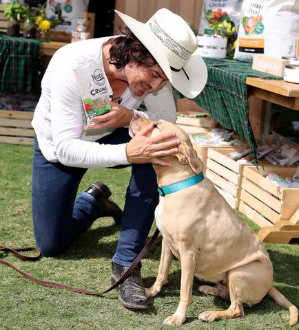 <p>Natasha Campos/Getty </p> Ian Somerhalder at NUTRO farmers market for dogs at The Grove