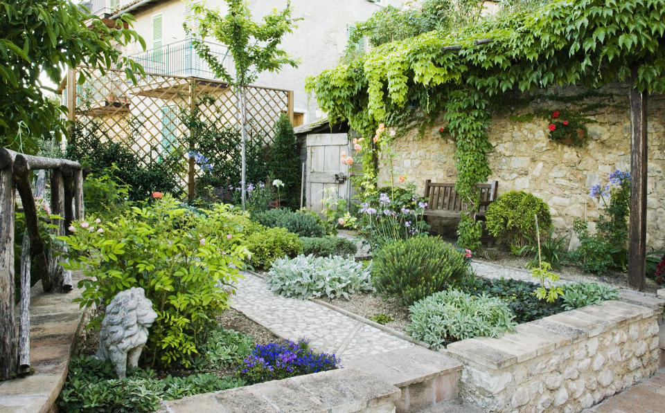 Incorporate vegetables garden ideas into a patio planting scheme