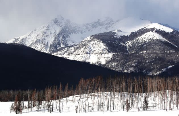 The woman's death marked the second fatality at Rocky Mountain National Park in one week.