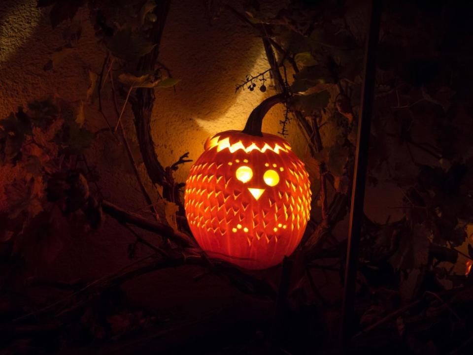 <p>Hansjörg Keller/Unsplash</p><p>This sweet-looking owl pumpkin carving is sure to get compliments on Halloween. </p>