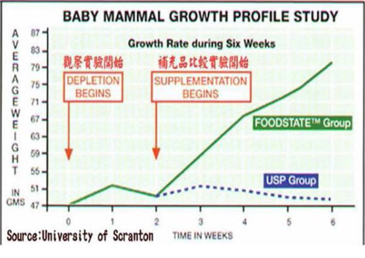 增強保護力你吃對了嗎?全新第三代維他命~~食物型態酵母維他命+人體高吸收技術