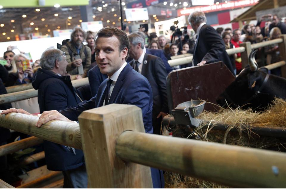 French centrist presidential candidate Emmanuel Macron poses next to the cow Fine, symbol of the 2017 Agriculture Fair in Paris, Wednesday, March 1, 2017. The first French presidential ballot will take place on April 23 and the two top candidates go into a runoff on May 7. (AP Photo/Christophe Ena)