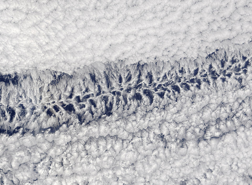 Open- and closed-cell clouds over the Pacific, imaged by MODIS on Feb. 1, 2016. <cite>NASA Earth Observatory/Jeff Schmaltz/LANCE/EOSDIS Rapid Response</cite>