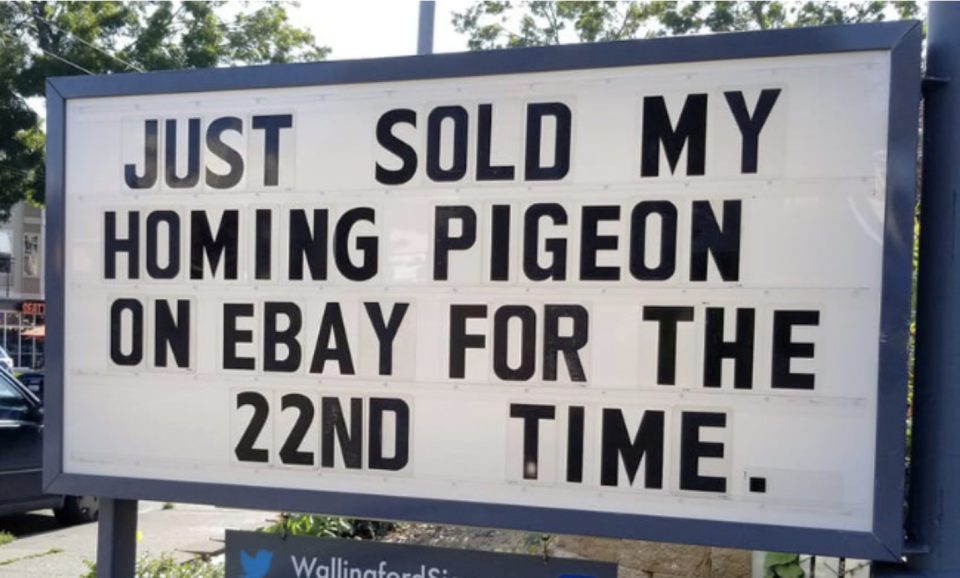 "Just sold my homing pigeon on eBay for the 22nd time."