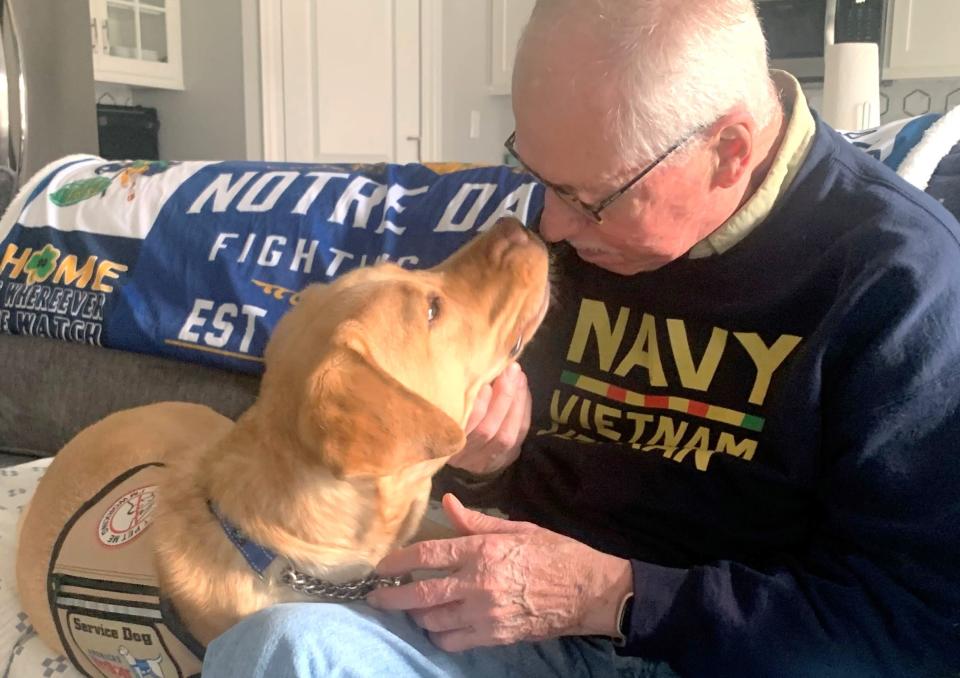 Vietnam veteran Mike Wesneski, 77, of Horseheads, finally got relief from PTSD that haunted him for years when he was paired with service dog John, a yellow Labrador retriever, through an organization known as America's VetDogs.