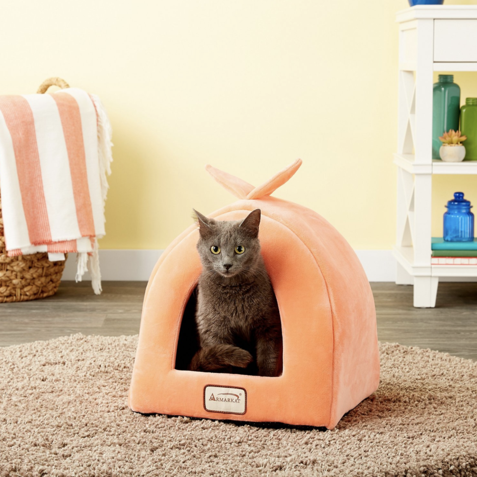 This adorable bed is for both dogs and kitties. (Photo: Chewy)