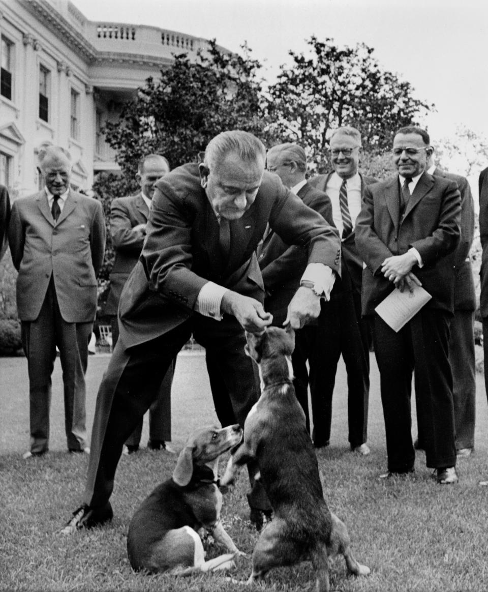 President Lyndon B. Johnson holds his dog Her by the ears.