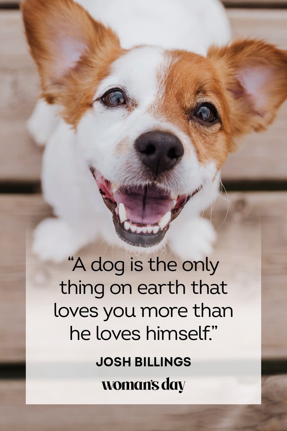 <p>“A dog is the only thing on earth that loves you more than he loves himself.”</p>