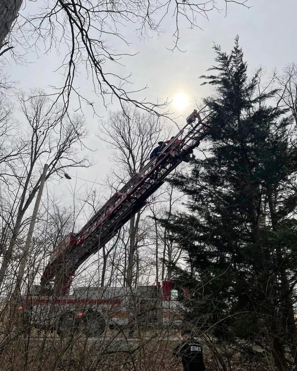 Firefighters work to rescue a 4-year-old girl that was stuck 30 feet up a tree, Tuesday, Feb. 27, 2024, in Reading Township.