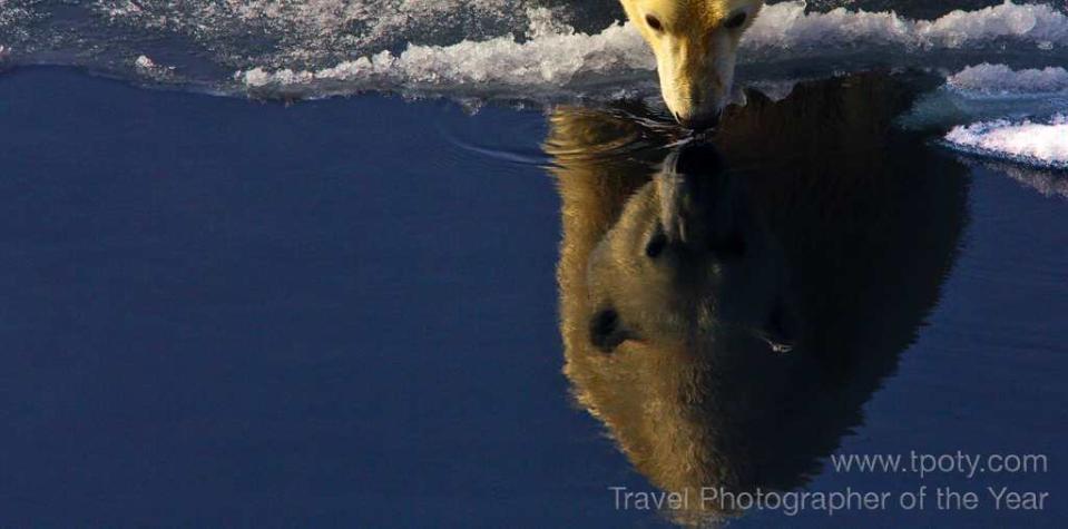 Svalbard, Norwegian Arctic <br><br>Uli Kunz, Germany<br><br>Camera: Canon 5D Mk2 <br><br>Runner-up, Wild Planet portfolio