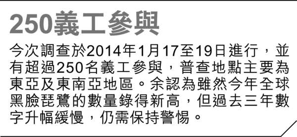 黑臉琵鷺 訪港數目少99隻