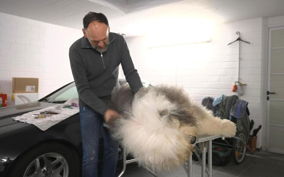 Herrchen Martin kümmert sich intensiv um die Fellpflege seines Hundes. (Bild: RTL)