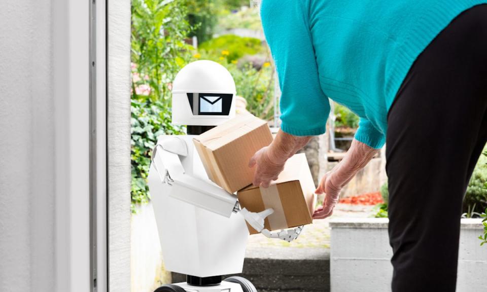 Robot Delivery