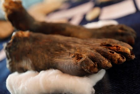A mummy's feet are displayed during the presentation of a new discovery in the Monkey Valley near the Valley of the Kings in Luxor