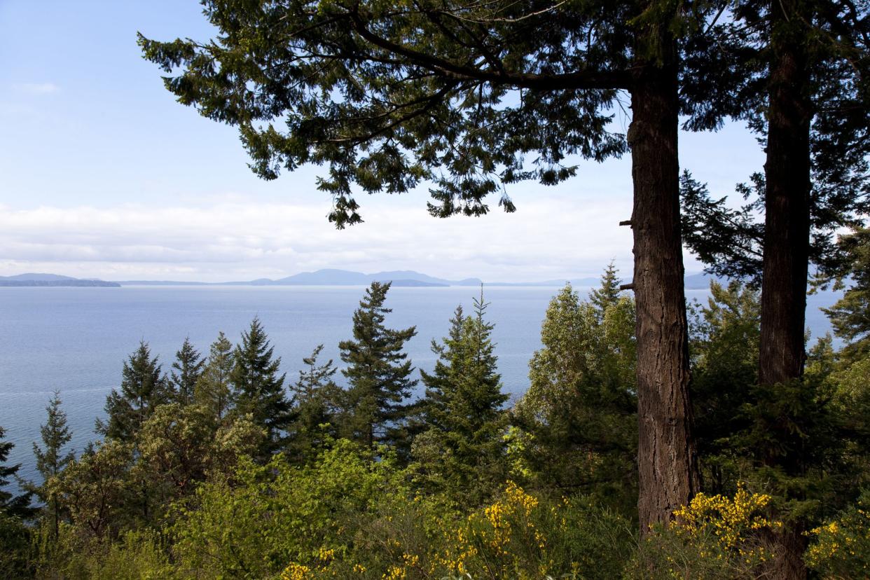 The view out to Bellingham Bay from the Chuckanut Drive in Washington state.