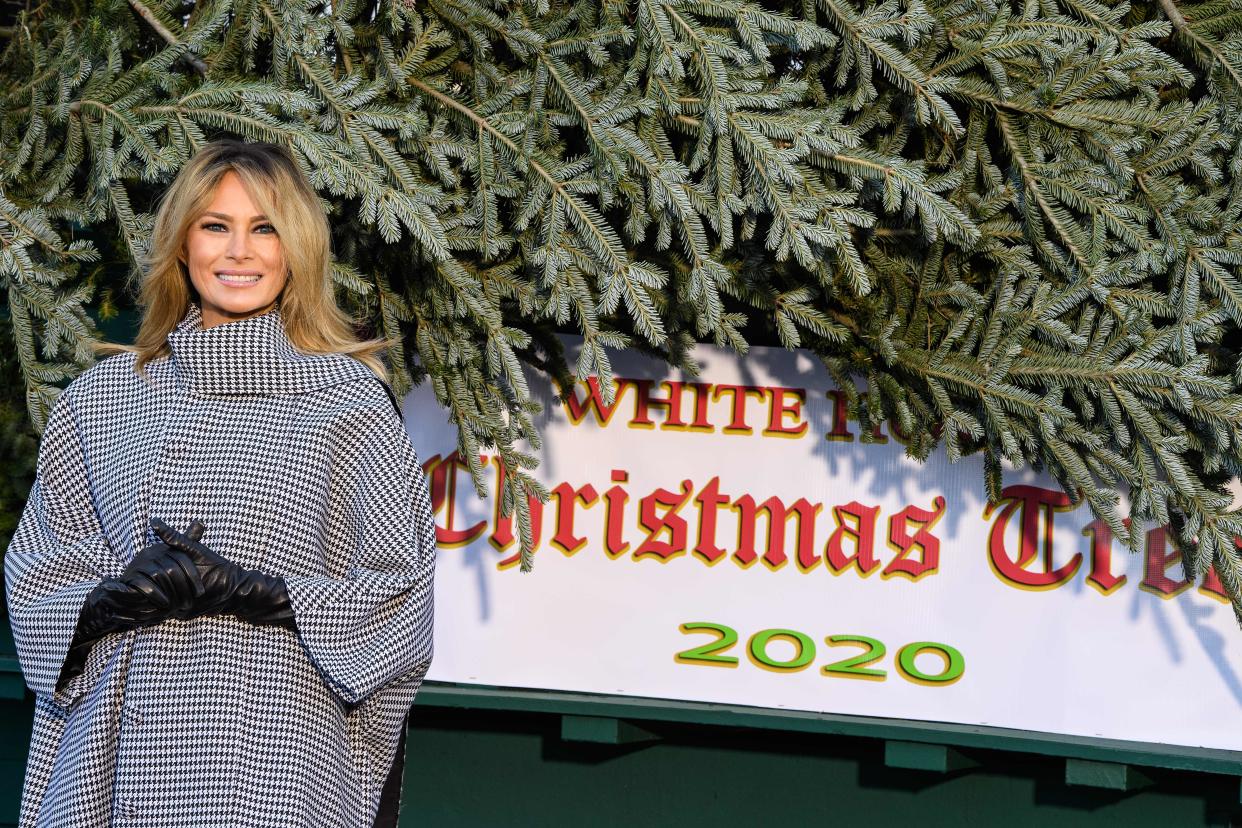 Melania Trump was all smiles as she welcomed her family’s final Christmas tree to the White house (AFP via Getty Images)