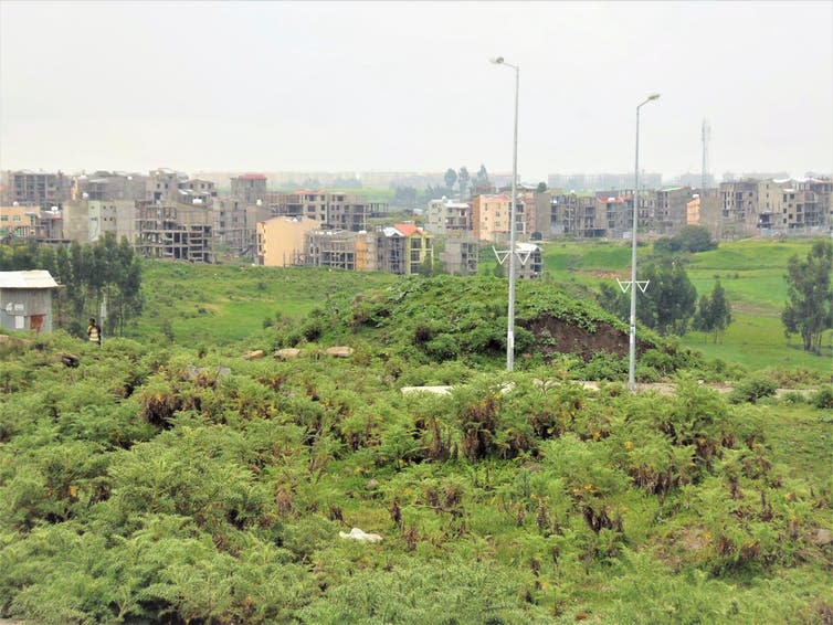 <span class="caption">Properties under construction in Ethiopia.</span> <span class="attribution"><span class="source">© Tom Goodfellow</span>, <span class="license">Author provided</span></span>