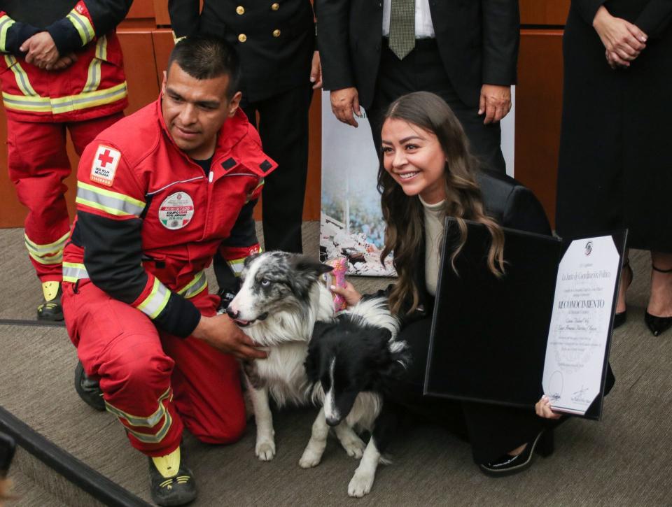 Sasil de León Villard, del PES, durante la entrega de reconocimientos a instituciones y personal de binomios caninos que formaron parte del equipo “misión rescate”.
FOTO: ANDREA MURCIA / CUARTOSCURO.COM