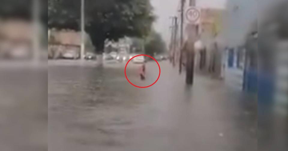 Foto: Captura de video Twitter vía @Trafico_ZMG