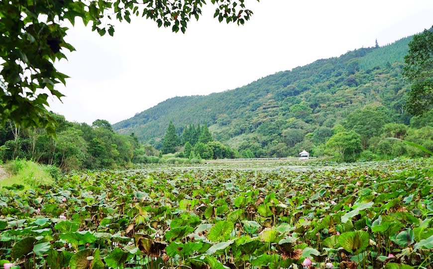 苗栗南庄｜向天湖咖啡民宿