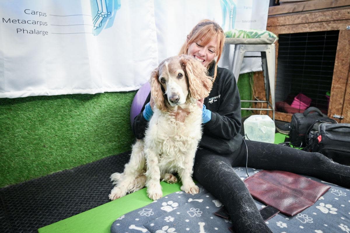 Jade Walsh has changed her life by becoming a veterinary physiotherapist <i>(Image: Gemma Suckley Photography)</i>