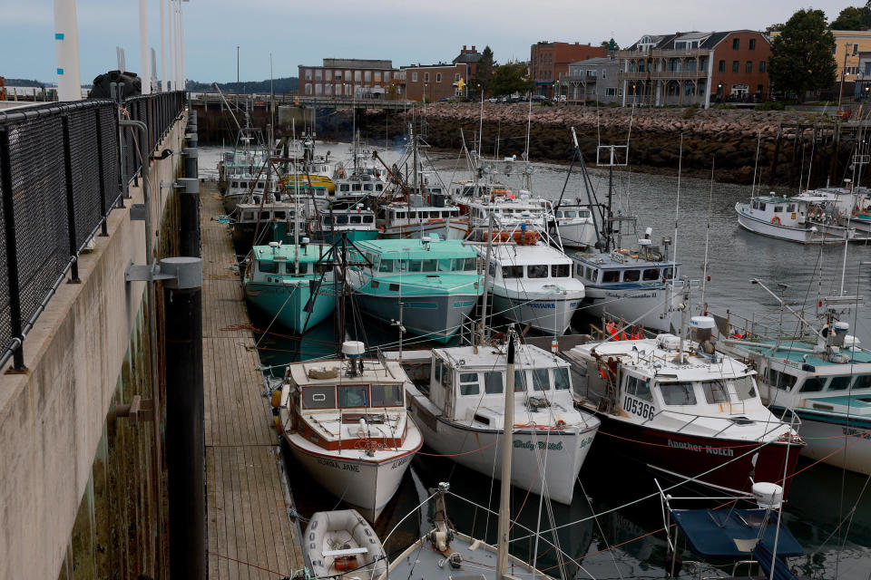 Boats are docked together in a protective cove before the possible arrival of Hurricane Lee on Sept. 15, 2023, in Eastport, Maine.  / Credit: Getty Images