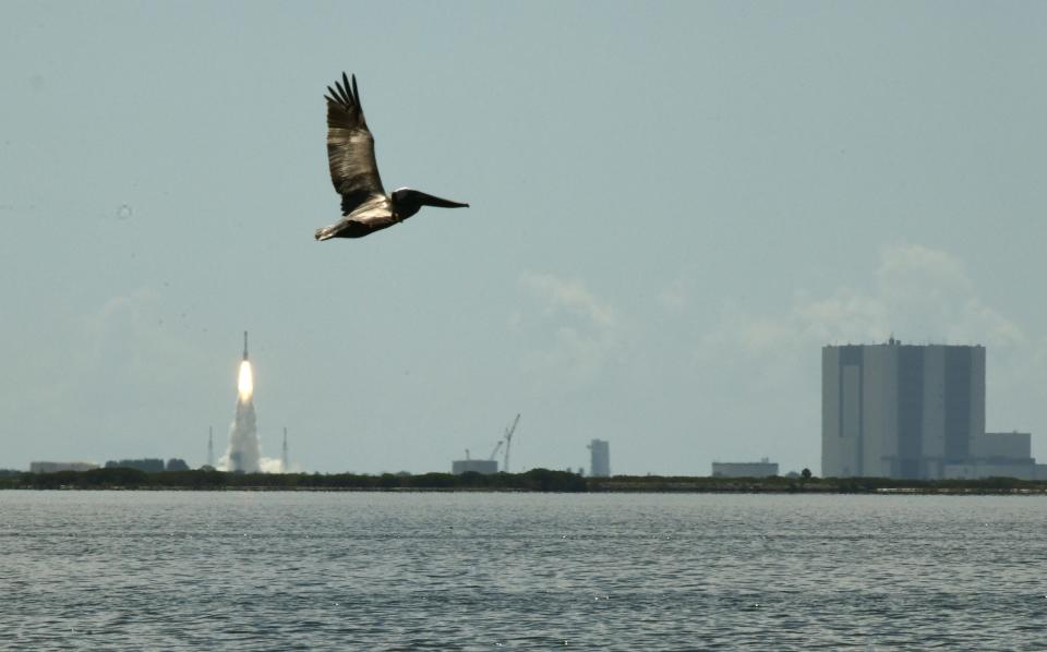 A pelican flies in the foreground above the Indian River Lagoon, seen from Veterans Park in Titusville, as the Boeing Starliner carrying two NASA astronauts lifts off from Cape Canaveral Space Force Station.