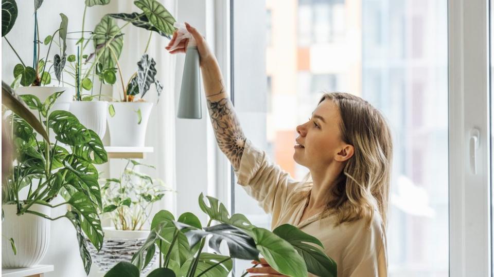 Mujer regando las plantas