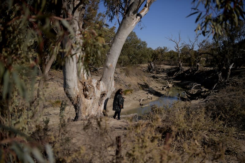 The Wider Image: Thirst turns to anger as Australia's mighty river runs dry