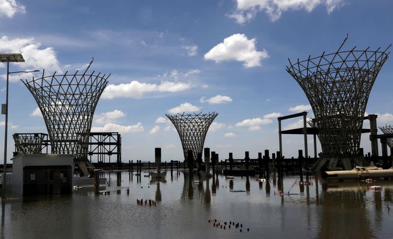 Flooding, birds, trees: Mexico City's Texcoco lake reclaims scrapped airport