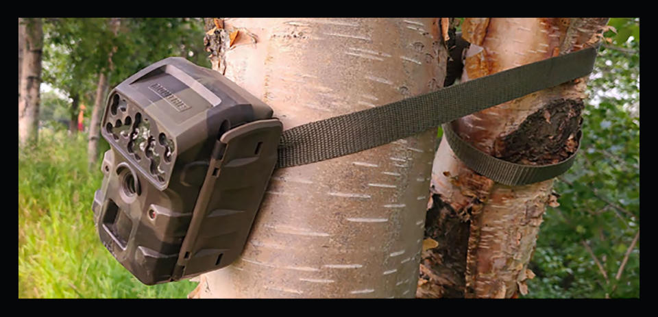 A game camera mounted on a tree outside the home of Assemblymember Christopher Constant in Anchorage, Alaska.<span class="copyright">Courtesy The National League of Cities</span>