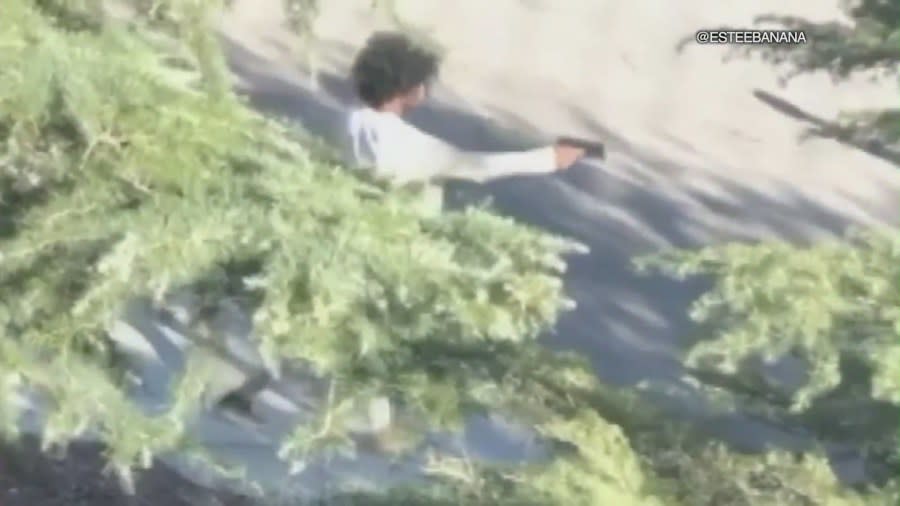 Video captured by a neighbor shows the violent assault on a San Bernardino County Sheriff's Deputy in which her firearm was taken by a suspect who shot at her with it on Sept. 4, 2019. (@esteebanana)