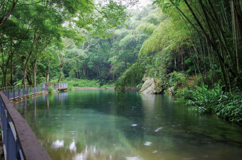 四十二分坪步道有一個湧泉池，水溫維持在終年18度左右。 圖：翻攝自苗栗文化觀光旅遊網