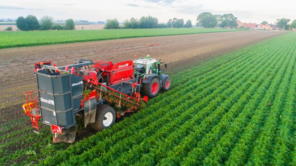 Ein Landwirt erntet Bio-Möhren auf einem Feld im Landkreis Hildesheim. Die EU-Agrarminister nähern sich einer Einigung bei der Agrarreform.