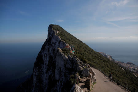 FILE PHOTO: A tourist watches monkeys on the top of the Rock in the British overseas territory of Gibraltar, historically claimed by Spain, March 29, 2017. REUTERS/Jon Nazca /File Photo