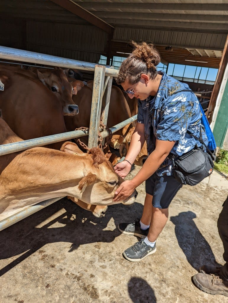 ZJ Schwartz visited a cattle farm while in South Dakota. Courtesy of ZJ Schwartz