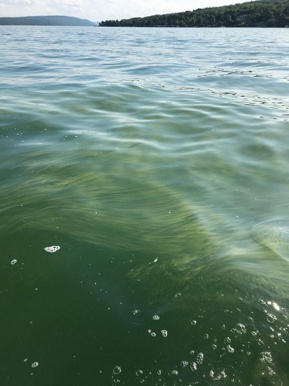 This shows harmful blue green algae in Canandaigua Lake in August 2019.