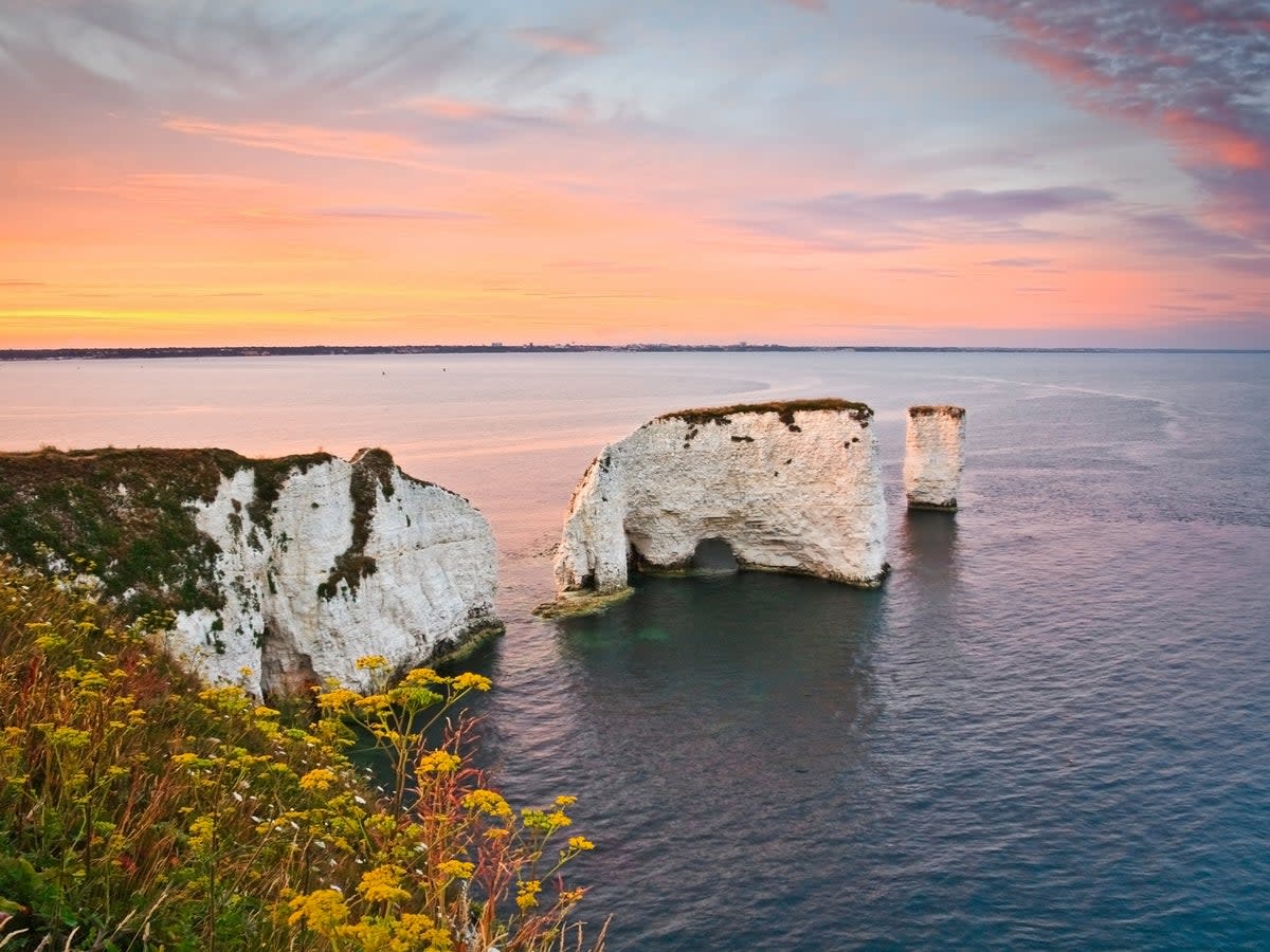 The imposing limestone stacks of Old Harry Rocks in Dorset (Getty Images/iStockphoto)