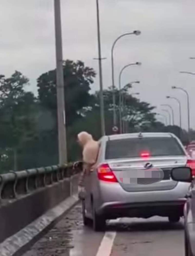 A woman was caught on camera throwing away garbage from her car into a river in Kelantan. — Picture courtesy of Facebook/ Kelantan Daily