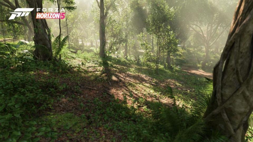 Mira los espectaculares biomas de <em>Forza Horizon 5</em>