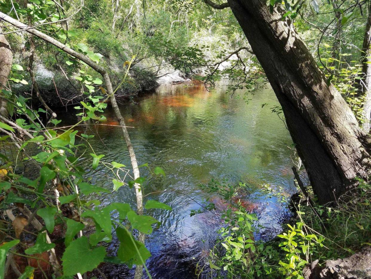 Black Creek near the Florida 16 bridge in Clay County is the area where the St. Johns River Water Management District wants to collect excess water to pipe to Keystone Heights. This photo was taken in 2018 by St. Johns Riverkeeper Lisa Rinaman.