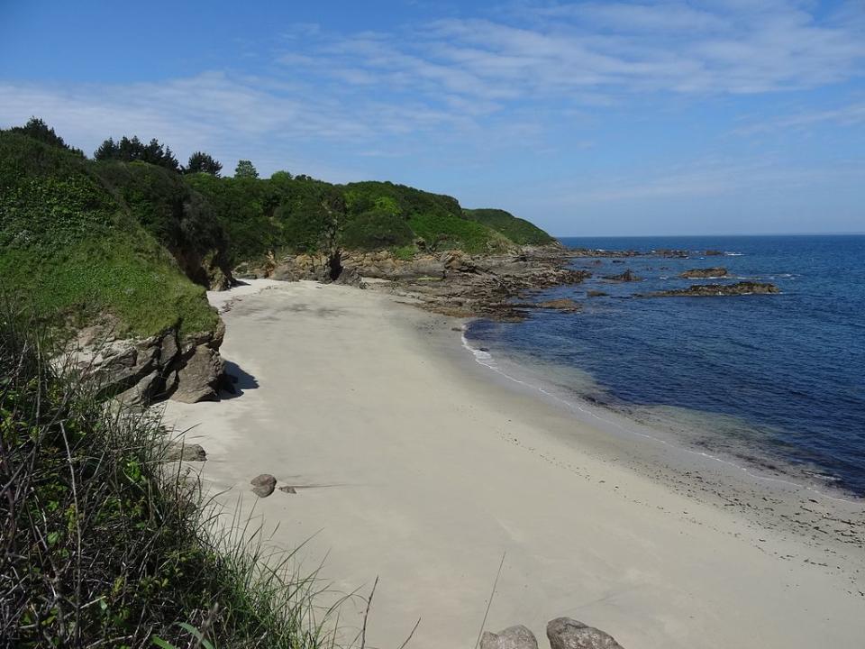 格魯瓦島 (Photo by Symac / Sylvain Machefert, License: CC BY-SA 4.0, Wikimedia Commons提供)