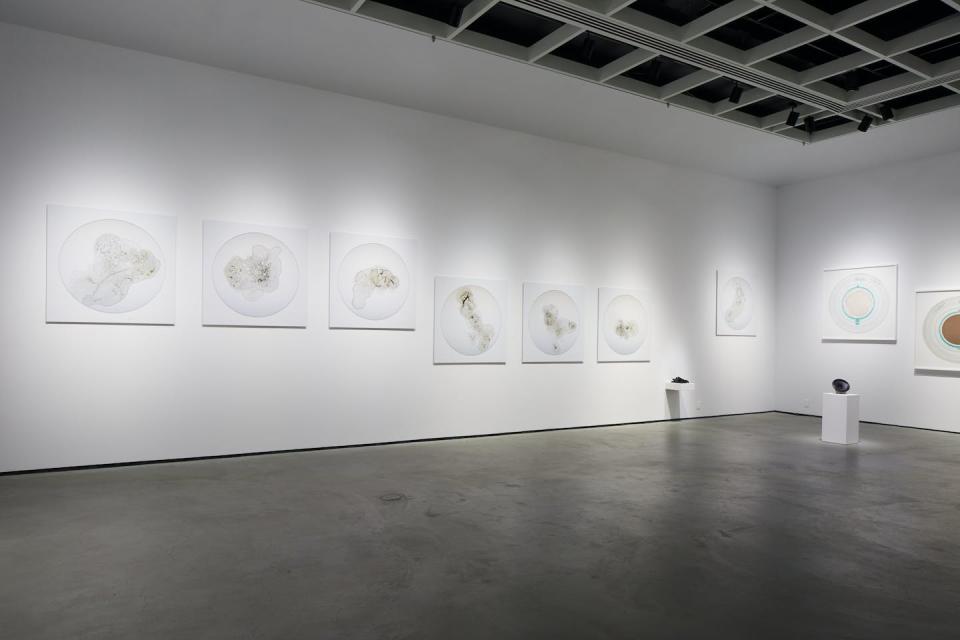 Photographs of evaporated samples of toxic algae taken from blooms in Lake Ontario, on the left, and found object sculpture consisting of ‘tar glob’ hydrocarbon sediment collected along the shoreline of Point Pelee peninsula, Ont. (Chris Myhr), Author provided