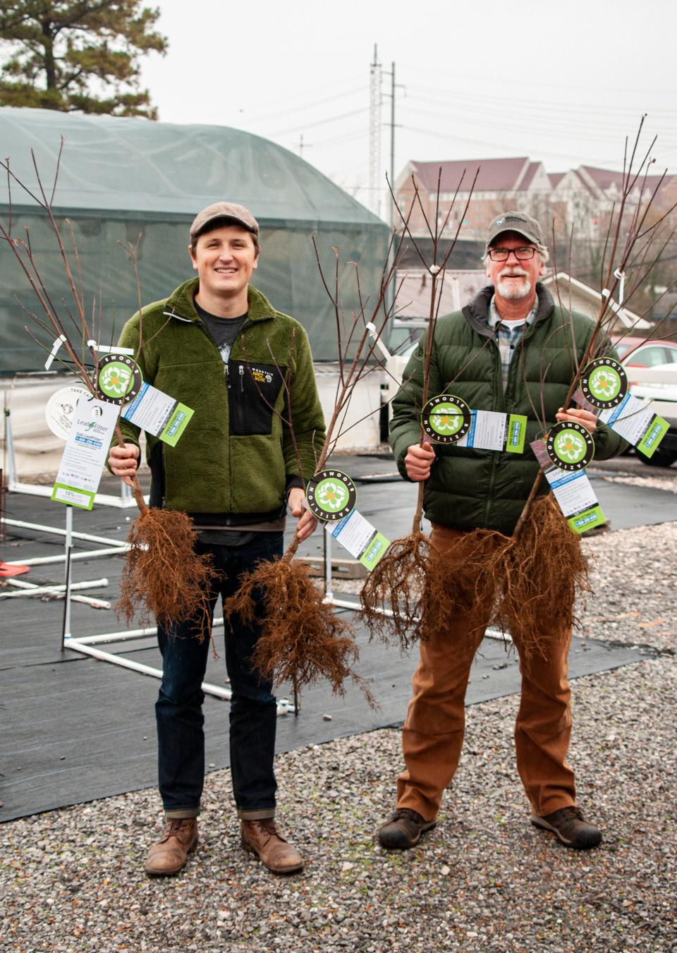 Bare-root dogwood trees are on sale as part of the Bazillion Blooms program.