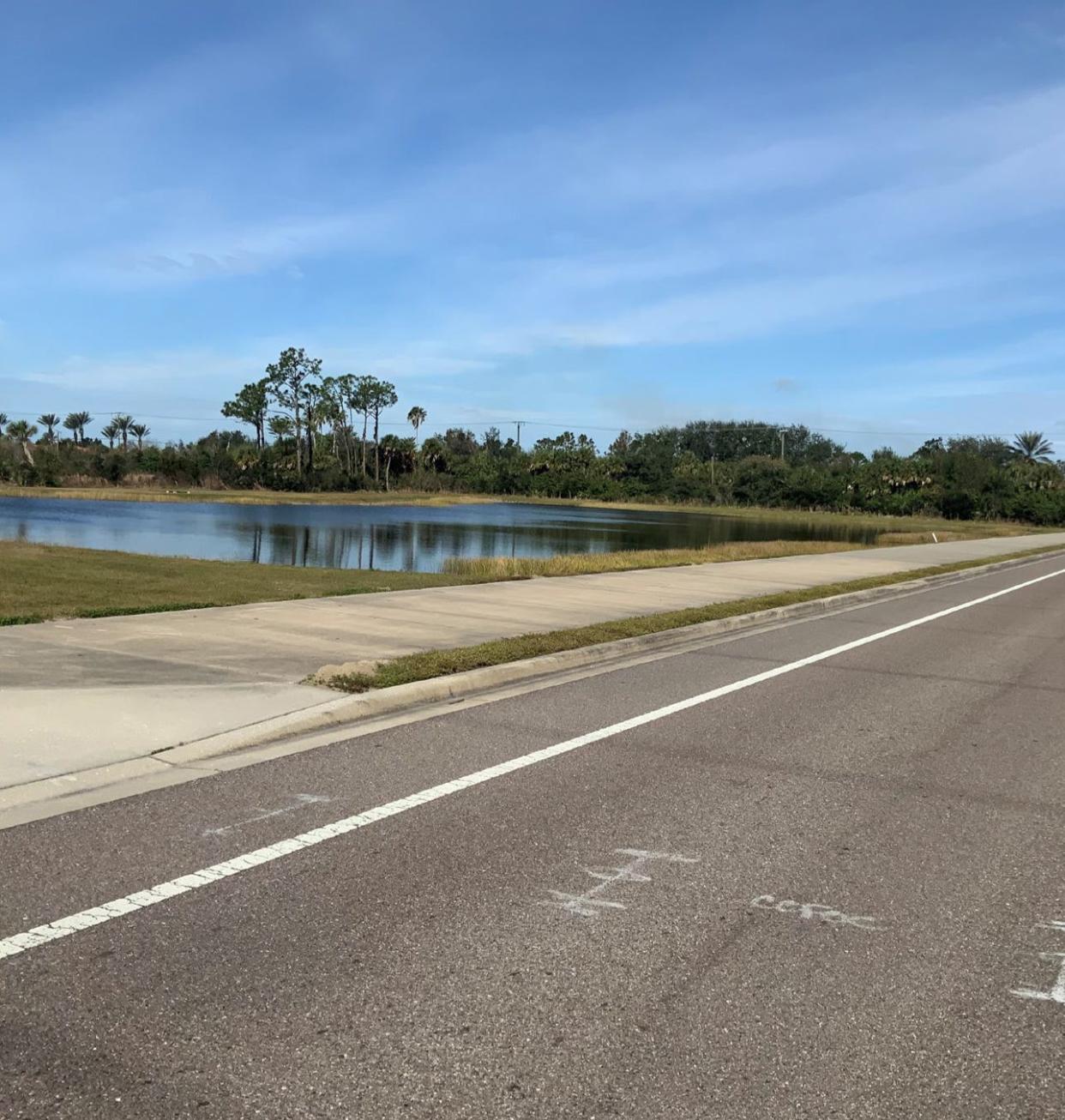 The view from Jacaranda Boulevard facing northwest to Laurel Road includes a wetland that would be developed, with the loss offset by credits purchased from the Myakka River Mitigation Bank if the site is replaced by a Publix-anchored shopping center, The Village at Laurel and Jacaranda.