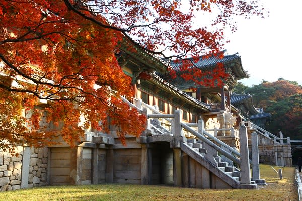 慶尚北道 慶州 佛國寺(圖/韓國觀光公社)